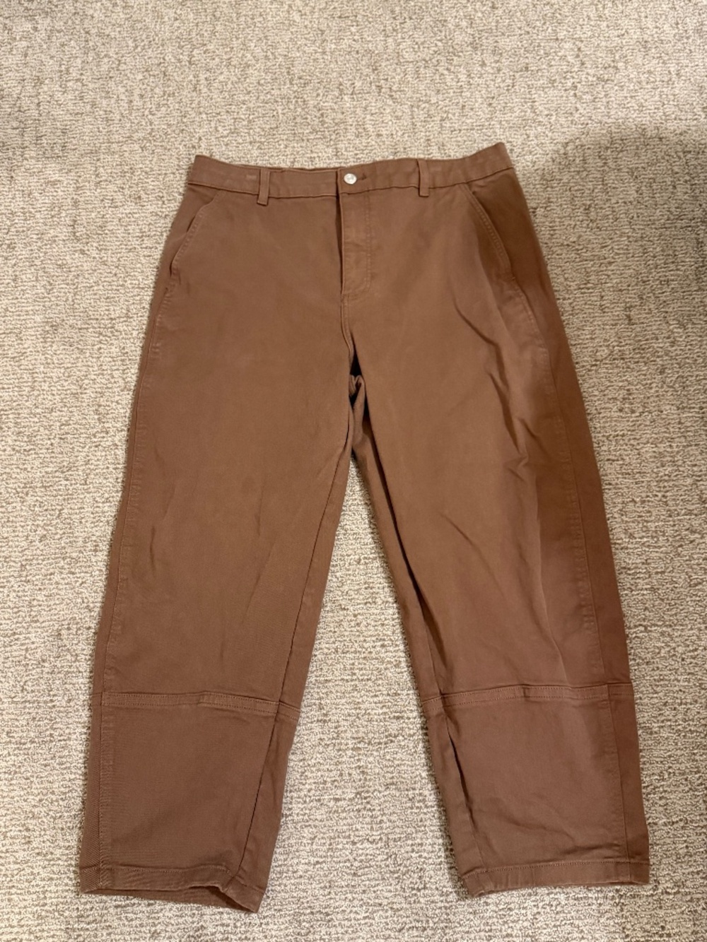 Everlane Utility Barrel Pant Size 16 in Brown